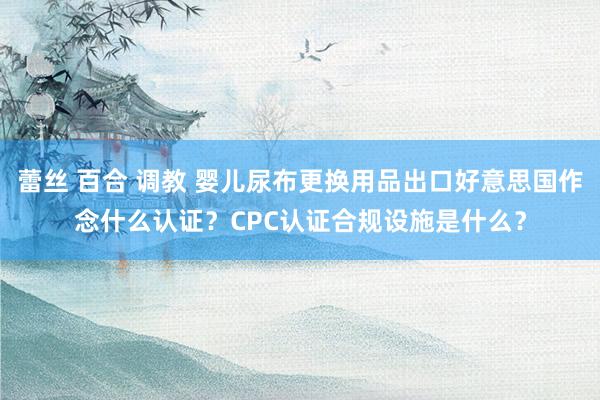 蕾丝 百合 调教 婴儿尿布更换用品出口好意思国作念什么认证？CPC认证合规设施是什么？
