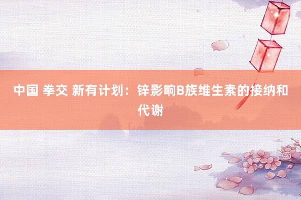 中国 拳交 新有计划：锌影响B族维生素的接纳和代谢