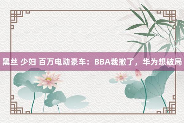 黑丝 少妇 百万电动豪车：BBA裁撤了，华为想破局