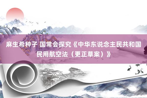 麻生希种子 国常会探究《中华东说念主民共和国民用航空法（更正草案）》