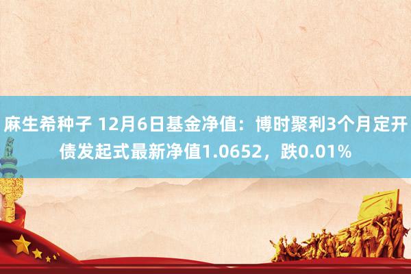 麻生希种子 12月6日基金净值：博时聚利3个月定开债发起式最新净值1.0652，跌0.01%