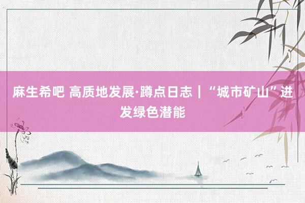 麻生希吧 高质地发展·蹲点日志｜“城市矿山”迸发绿色潜能