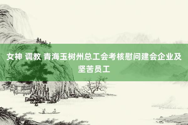 女神 调教 青海玉树州总工会考核慰问建会企业及坚苦员工