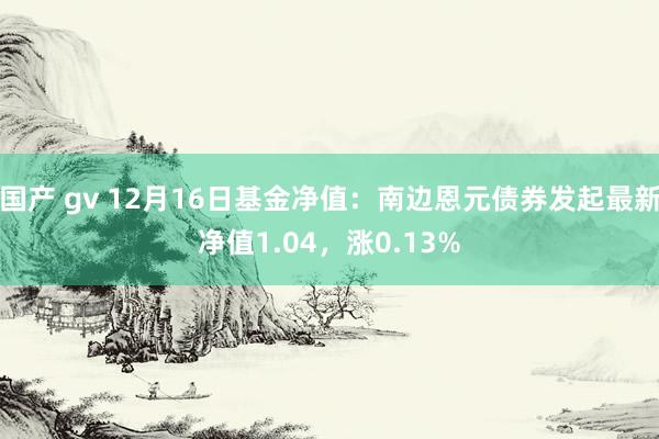 国产 gv 12月16日基金净值：南边恩元债券发起最新净值1.04，涨0.13%