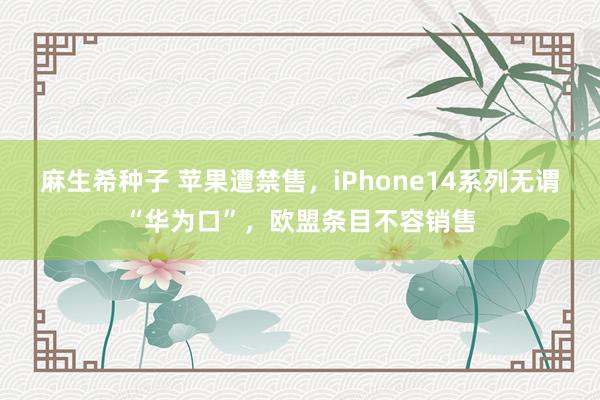 麻生希种子 苹果遭禁售，iPhone14系列无谓“华为口”，欧盟条目不容销售
