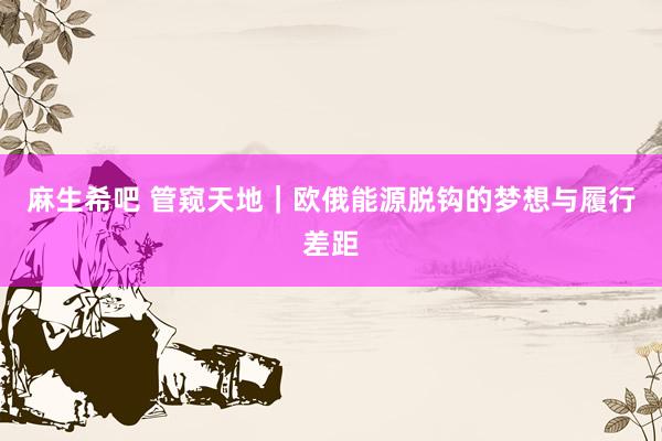 麻生希吧 管窥天地｜欧俄能源脱钩的梦想与履行差距