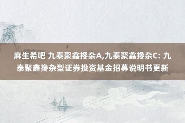 麻生希吧 九泰聚鑫搀杂A，九泰聚鑫搀杂C: 九泰聚鑫搀杂型证券投资基金招募说明书更新