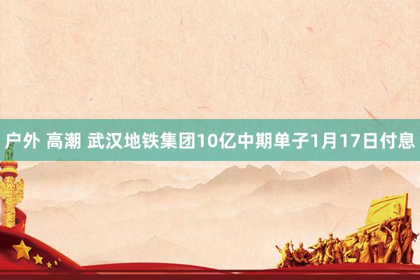 户外 高潮 武汉地铁集团10亿中期单子1月17日付息