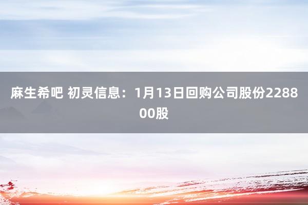 麻生希吧 初灵信息：1月13日回购公司股份228800股
