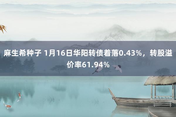 麻生希种子 1月16日华阳转债着落0.43%，转股溢价率61.94%