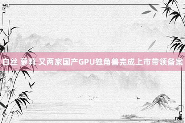 白丝 萝莉 又两家国产GPU独角兽完成上市带领备案