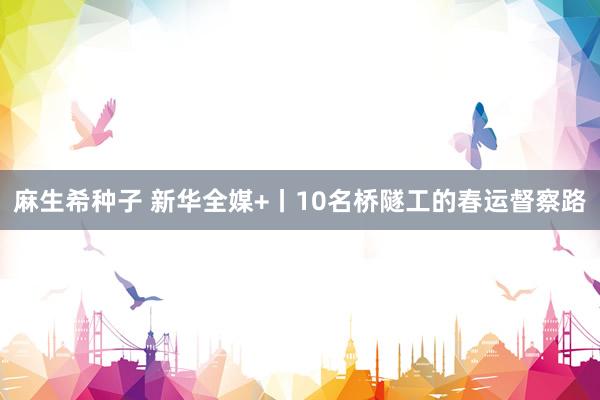麻生希种子 新华全媒+丨10名桥隧工的春运督察路