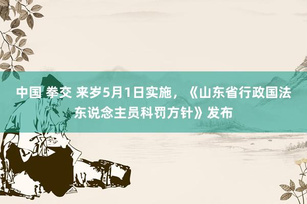 中国 拳交 来岁5月1日实施，《山东省行政国法东说念主员科罚方针》发布