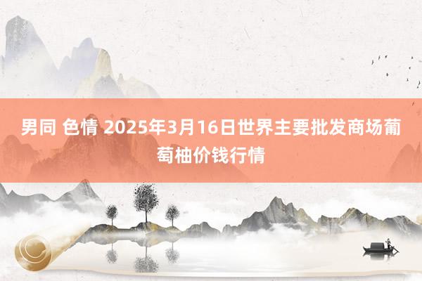 男同 色情 2025年3月16日世界主要批发商场葡萄柚价钱行情