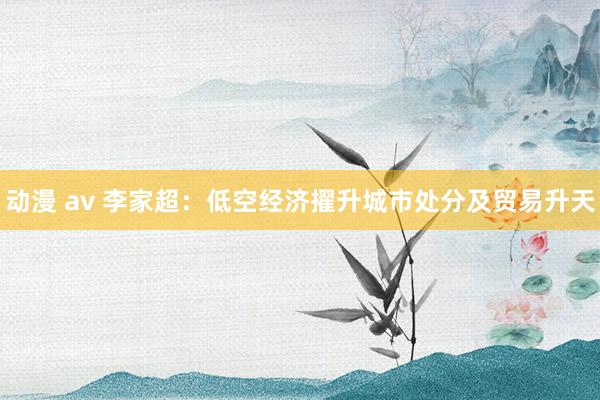 动漫 av 李家超：低空经济擢升城市处分及贸易升天