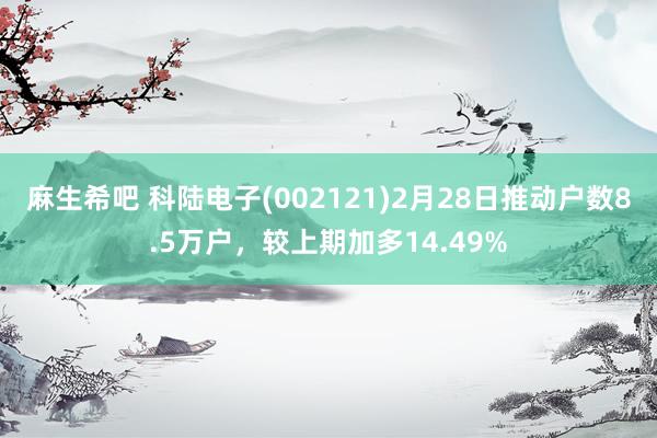 麻生希吧 科陆电子(002121)2月28日推动户数8.5万户，较上期加多14.49%
