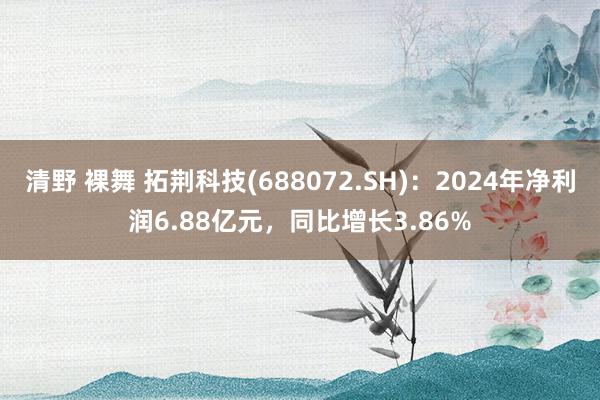 清野 裸舞 拓荆科技(688072.SH)：2024年净利润6.88亿元，同比增长3.86%