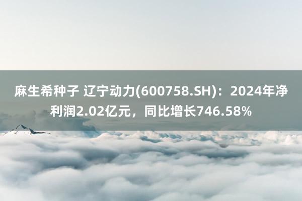 麻生希种子 辽宁动力(600758.SH)：2024年净利润2.02亿元，同比增长746.58%