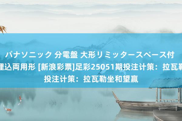 パナソニック 分電盤 大形リミッタースペース付 露出・半埋込両用形 [新浪彩票]足彩25051期投注计策：拉瓦勒坐和望赢