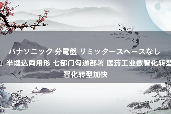 パナソニック 分電盤 リミッタースペースなし 露出・半埋込両用形 七部门勾通部署 医药工业数智化转型加快